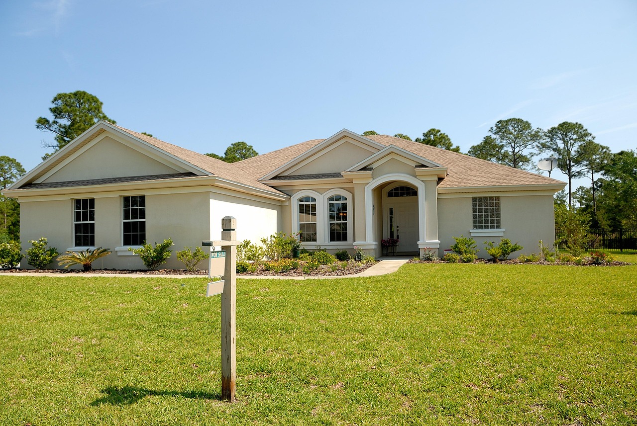 Grass Weed and Feed: Effective Lawn Care Solutions for Healthy Growth