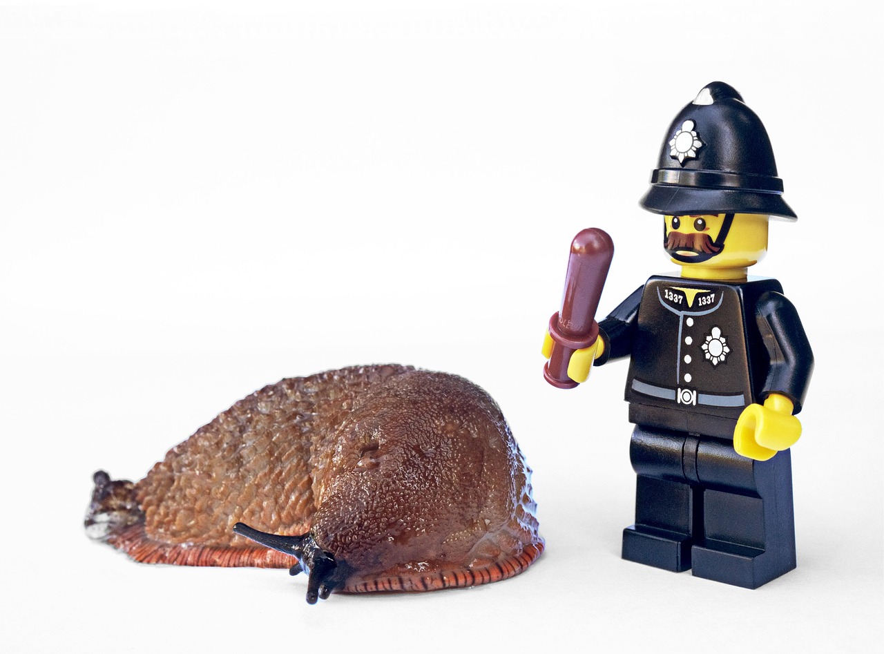 Rat Exterminator Delta Expert Solutions for Effective Pest Control